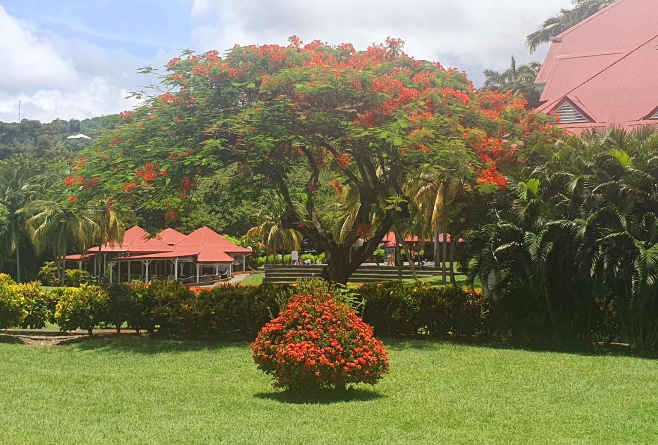 Ti Oasis Trinidad, Studio Vue Mer A Pierre & Vacances Sainte-Luce Exterior foto